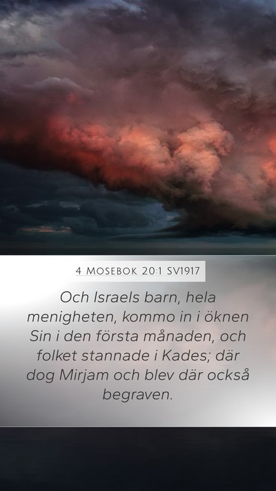 4 Mosebok 20:1 SV1917 Bible Verse Image