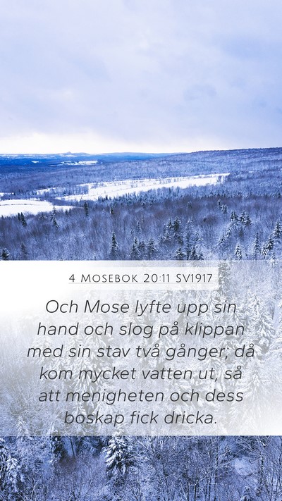 4 Mosebok 20:11 SV1917 Bible Verse Image