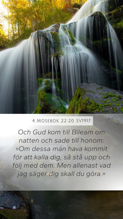 4 Mosebok 22:20 SV1917 Bible Verse Image