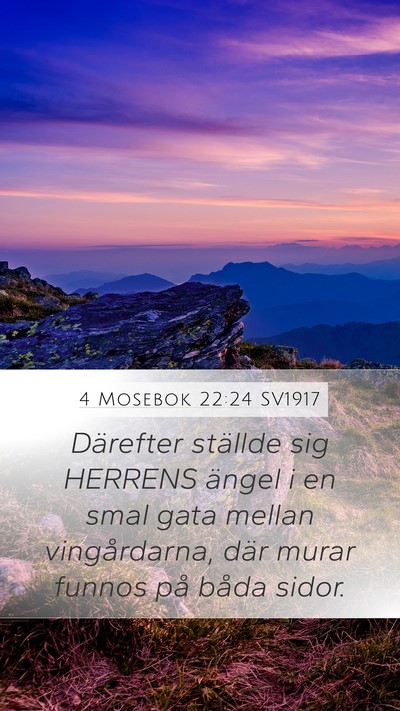 4 Mosebok 22:24 SV1917 Mobile Phone Wallpaper - Därefter ställde sig HERRENS ängel i en smal - Mobile Bible Verse Wallpaper