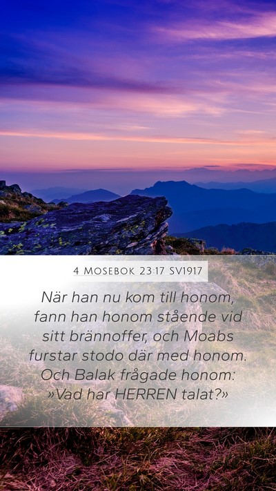4 Mosebok 23:17 SV1917 Mobile Phone Wallpaper - När han nu kom till honom, fann han honom - Mobile Bible Verse Wallpaper