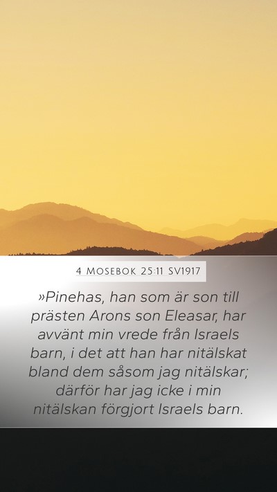 4 Mosebok 25:11 SV1917 Bible Verse Image