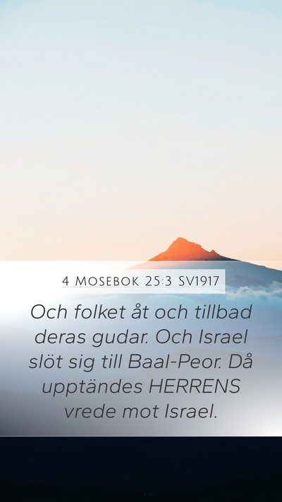 4 Mosebok 25:3 SV1917 Bible Verse Image