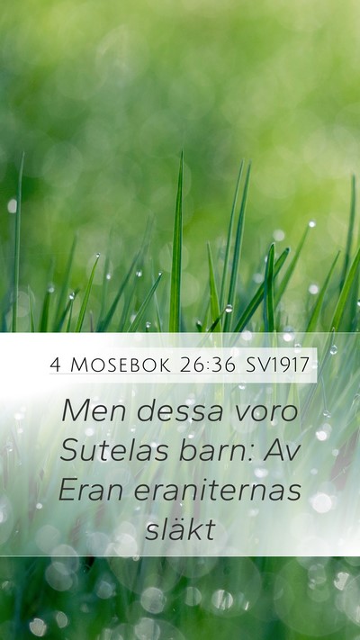 4 Mosebok 26:36 SV1917 Mobile Phone Wallpaper - Men dessa voro Sutelas barn: Av Eran eraniternas - Mobile Bible Verse Wallpaper