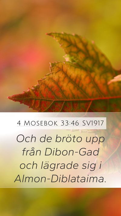 4 Mosebok 33:46 SV1917 Mobile Phone Wallpaper - Och de bröto upp från Dibon-Gad och lägrade - Mobile Bible Verse Wallpaper