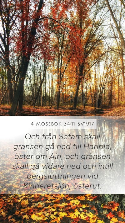 4 Mosebok 34:11 SV1917 Bible Verse Image