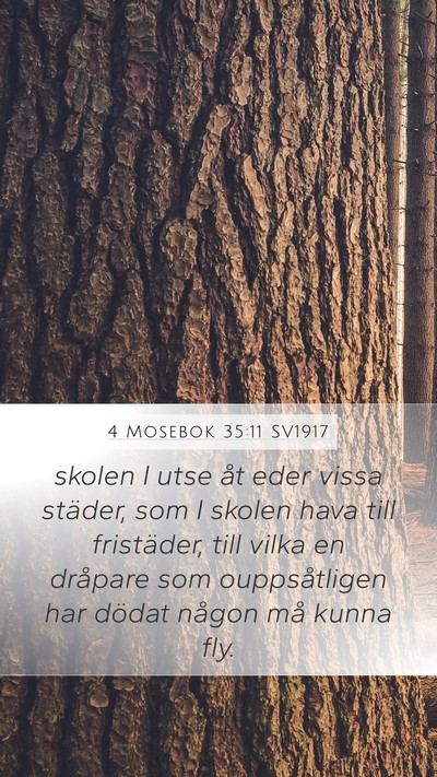 4 Mosebok 35:11 SV1917 Bible Verse Image