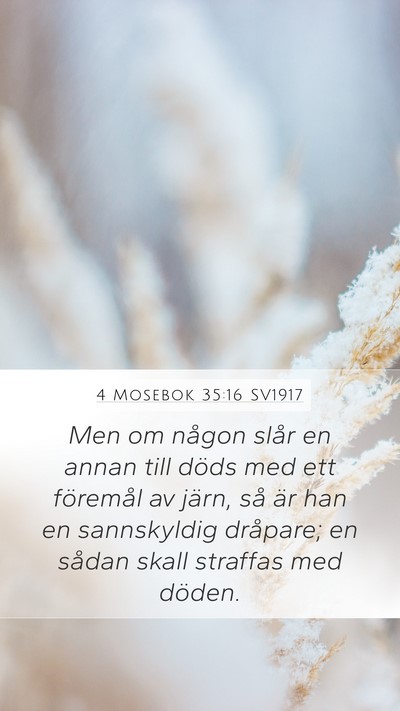 4 Mosebok 35:16 SV1917 Bible Verse Image
