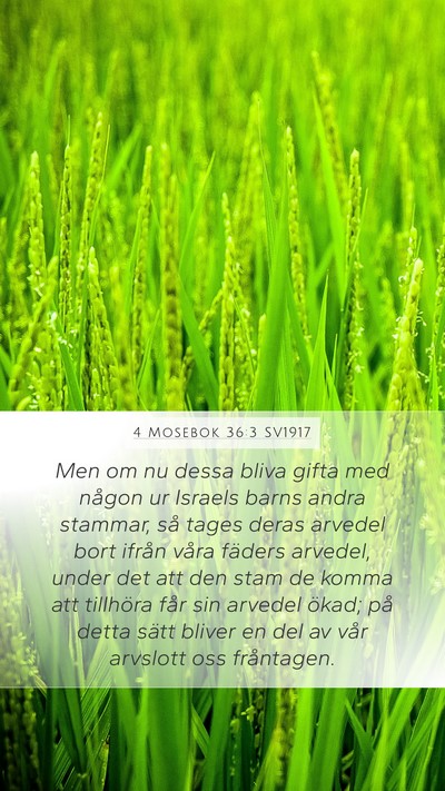 4 Mosebok 36:3 SV1917 Mobile Phone Wallpaper - Men om nu dessa bliva gifta med någon ur Israels - Mobile Bible Verse Wallpaper