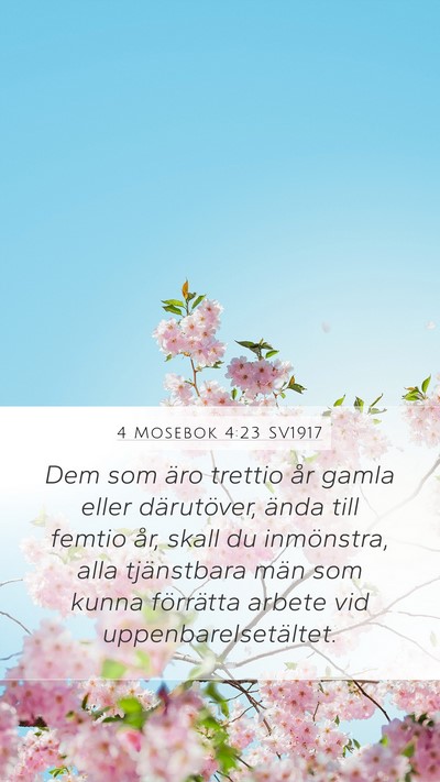 4 Mosebok 4:23 SV1917 Bible Verse Image