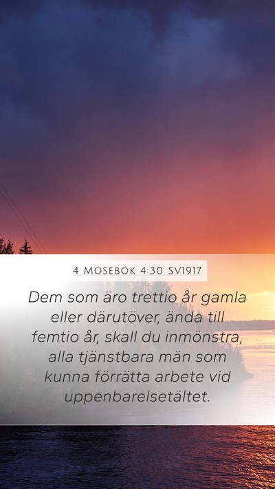 4 Mosebok 4:30 SV1917 Bible Verse Image