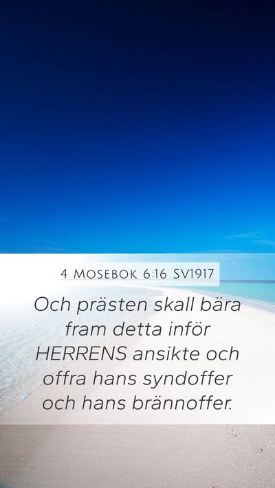 4 Mosebok 6:16 SV1917 Bible Verse Image