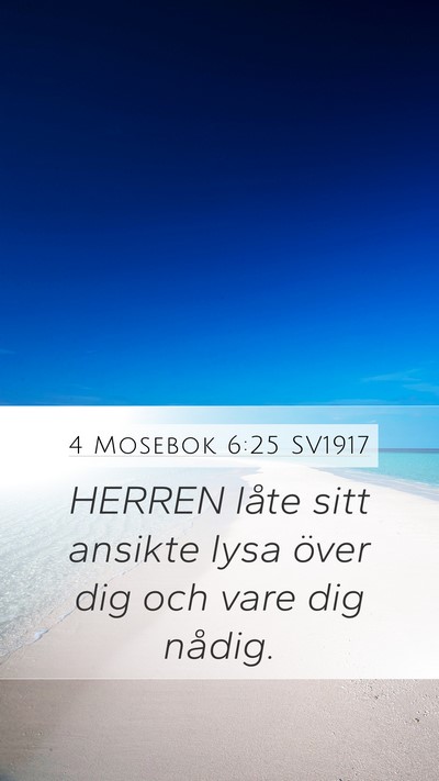 4 Mosebok 6:25 SV1917 Mobile Phone Wallpaper - HERREN låte sitt ansikte lysa över dig och vare - Mobile Bible Verse Wallpaper