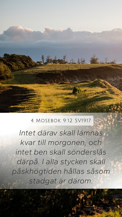 4 Mosebok 9:12 SV1917 Mobile Phone Wallpaper - Intet därav skall lämnas kvar till morgonen, - Mobile Bible Verse Wallpaper