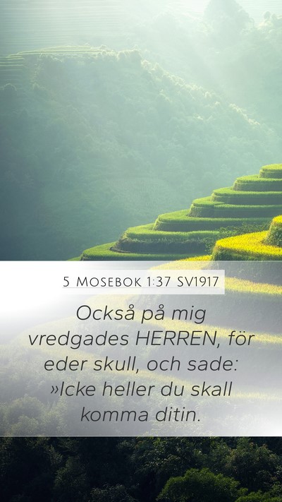 5 Mosebok 1:37 SV1917 Bible Verse Image
