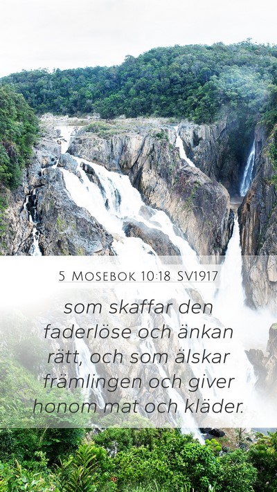 5 Mosebok 10:18 SV1917 Bible Verse Image