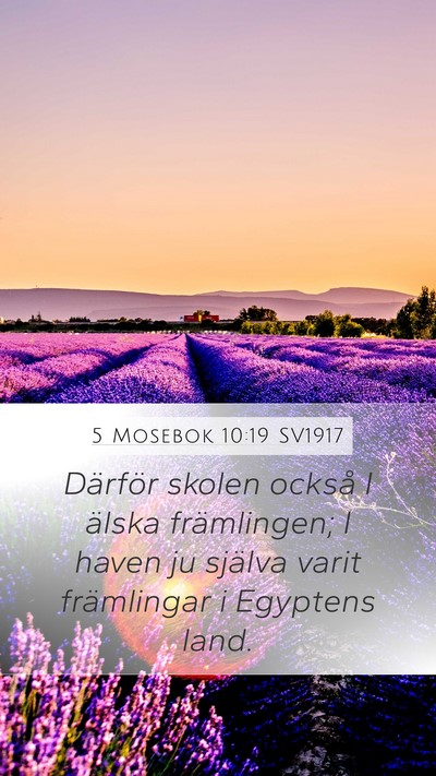5 Mosebok 10:19 SV1917 Bible Verse Image