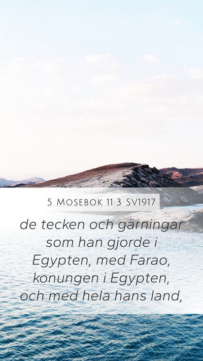 5 Mosebok 11:3 SV1917 Mobile Phone Wallpaper - de tecken och gärningar som han gjorde i - Mobile Bible Verse Wallpaper