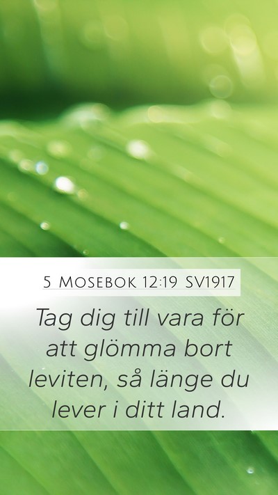 5 Mosebok 12:19 SV1917 Bible Verse Image