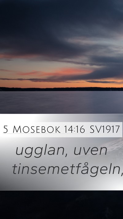 5 Mosebok 14:16 SV1917 Mobile Phone Wallpaper - ugglan, uven - Mobile Bible Verse Wallpaper