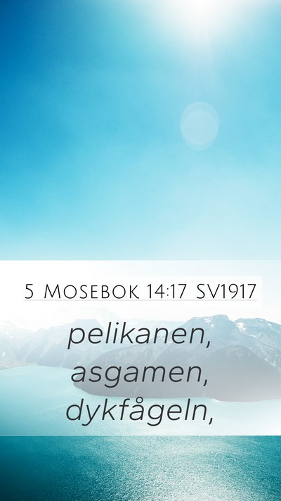 5 Mosebok 14:17 SV1917 Mobile Phone Wallpaper - pelikanen, asgamen, - Mobile Bible Verse Wallpaper