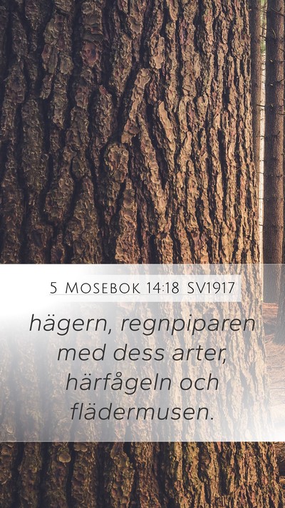 5 Mosebok 14:18 SV1917 Mobile Phone Wallpaper - hägern, regnpiparen med dess arter, härfågeln - Mobile Bible Verse Wallpaper