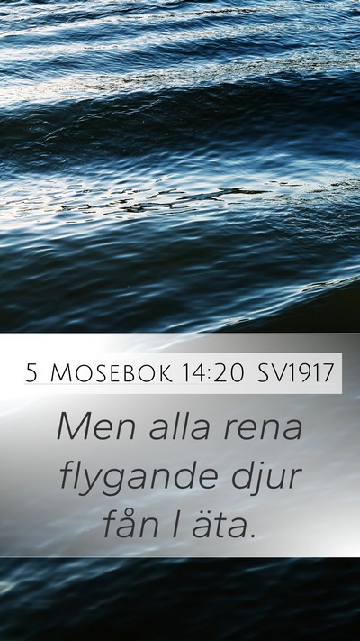 5 Mosebok 14:20 SV1917 Mobile Phone Wallpaper - Men alla rena flygande djur fån I - Mobile Bible Verse Wallpaper