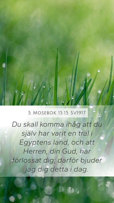 5 Mosebok 15:15 SV1917 Bible Verse Image