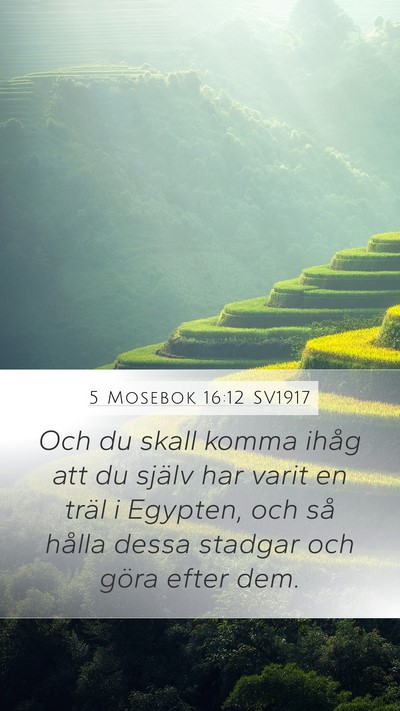 5 Mosebok 16:12 SV1917 Bible Verse Image