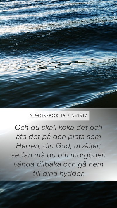 5 Mosebok 16:7 SV1917 Mobile Phone Wallpaper - Och du skall koka det och äta det på den plats - Mobile Bible Verse Wallpaper