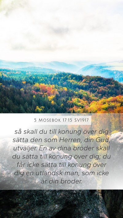 5 Mosebok 17:15 SV1917 Bible Verse Image