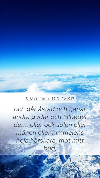 5 Mosebok 17:3 SV1917 Bible Verse Image