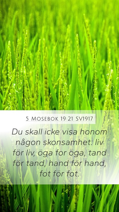 5 Mosebok 19:21 SV1917 Bible Verse Image