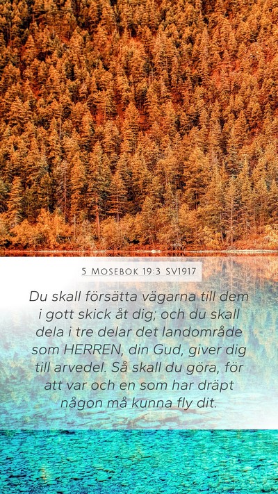 5 Mosebok 19:3 SV1917 Mobile Phone Wallpaper - Du skall försätta vägarna till dem i gott - Mobile Bible Verse Wallpaper