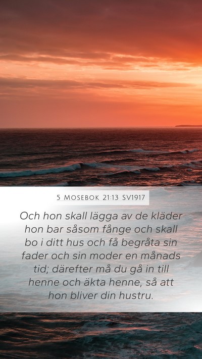 5 Mosebok 21:13 SV1917 Bible Verse Image