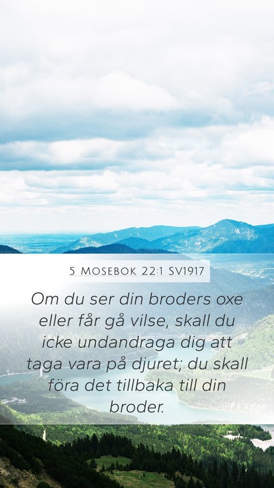 5 Mosebok 22:1 SV1917 Mobile Phone Wallpaper - Om du ser din broders oxe eller får gå vilse, - Mobile Bible Verse Wallpaper