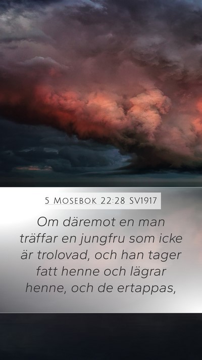 5 Mosebok 22:28 SV1917 Bible Verse Image
