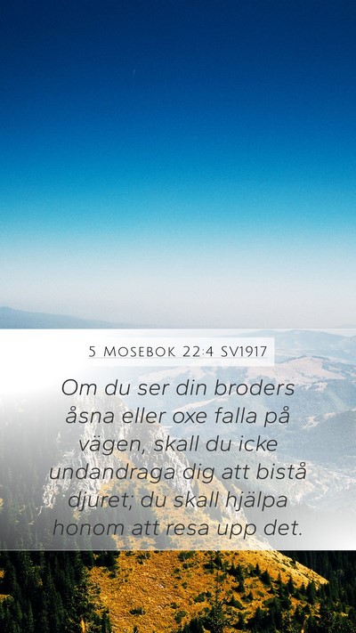 5 Mosebok 22:4 SV1917 Mobile Phone Wallpaper - Om du ser din broders åsna eller oxe falla på - Mobile Bible Verse Wallpaper