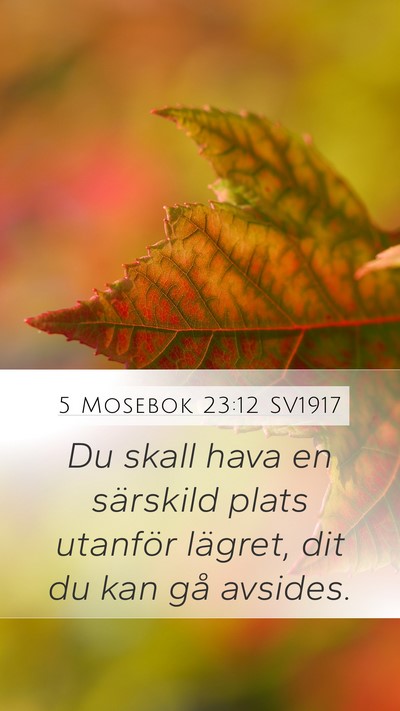 5 Mosebok 23:12 SV1917 Mobile Phone Wallpaper - Du skall hava en särskild plats utanför - Mobile Bible Verse Wallpaper