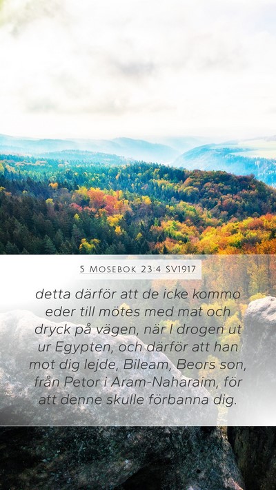 5 Mosebok 23:4 SV1917 Bible Verse Image