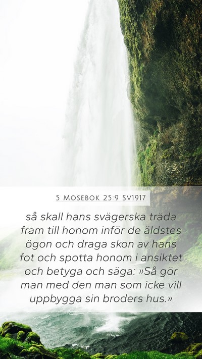 5 Mosebok 25:9 SV1917 Bible Verse Image