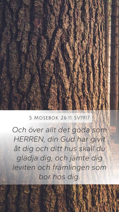 5 Mosebok 26:11 SV1917 Bible Verse Image