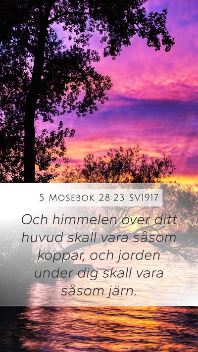 5 Mosebok 28:23 SV1917 Bible Verse Image