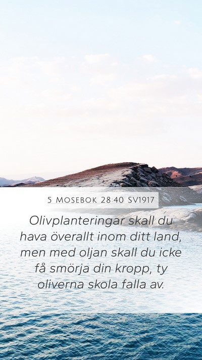 5 Mosebok 28:40 SV1917 Bible Verse Image