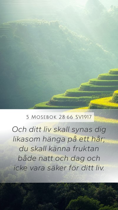 5 Mosebok 28:66 SV1917 Bible Verse Image