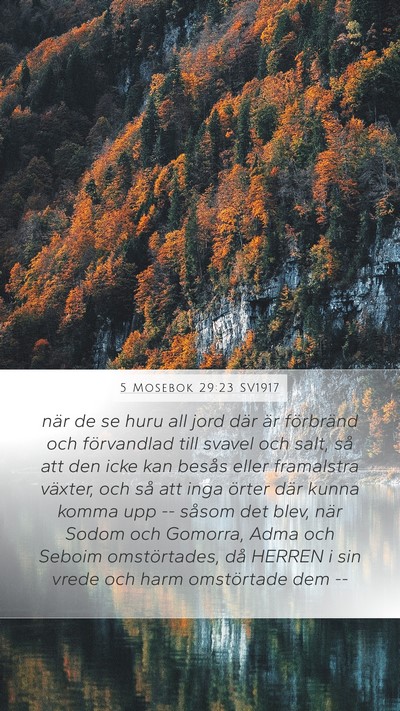 5 Mosebok 29:23 SV1917 Bible Verse Image