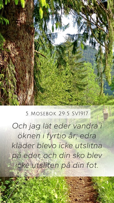 5 Mosebok 29:5 SV1917 Bible Verse Image