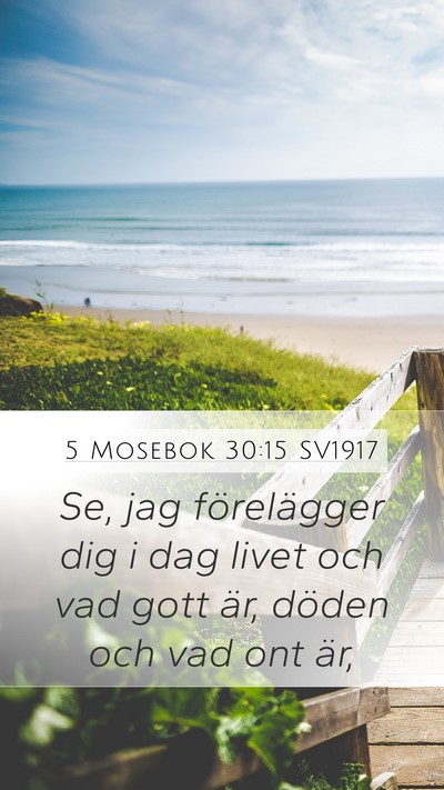 5 Mosebok 30:15 SV1917 Bible Verse Image