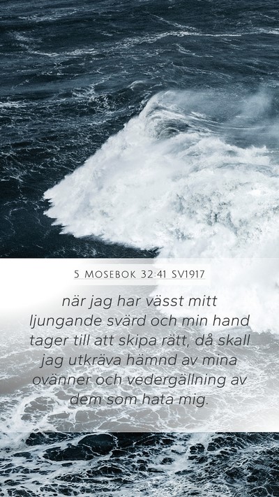 5 Mosebok 32:41 SV1917 Bible Verse Image