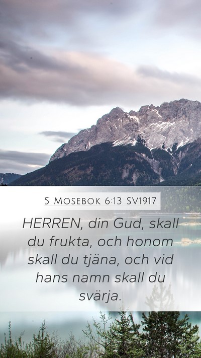 5 Mosebok 6:13 SV1917 Bible Verse Image
